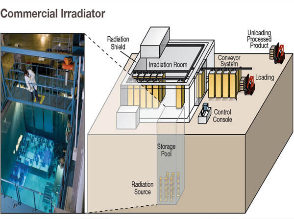 Type of radiation sterilization device