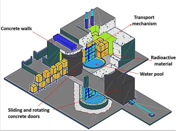 Irradiation sterilization of feed